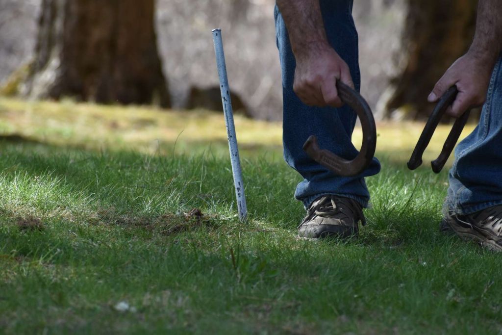 horseshoes